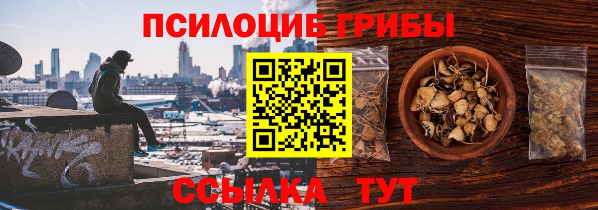 Галлюциногенные грибы Psilocybe Нягань